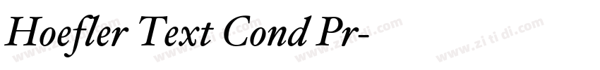 Hoefler Text Cond Pr字体转换